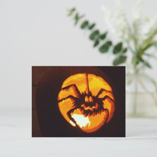 Spinpompoen Briefkaart (Staand voorkant)