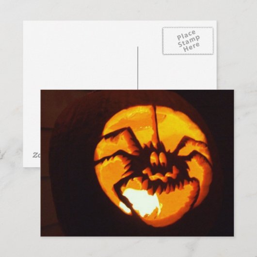 Spinpompoen Briefkaart (Voorkant / Achterkant)