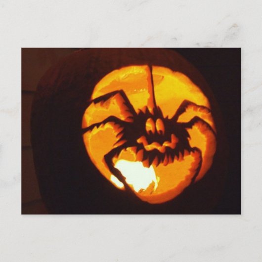 Spinpompoen Briefkaart (Voorkant)