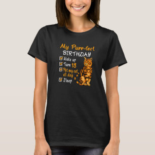 Spint Fect Birthday Pet My Cat de hele dag 13 T-shirt