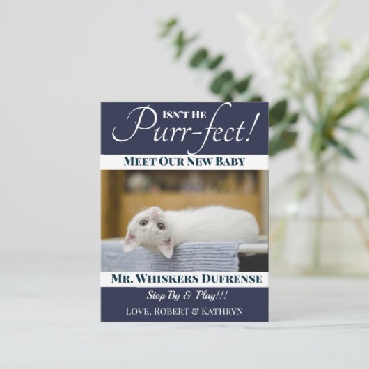 "Spint-fect"Nieuwe Kat Aankondiging Briefkaart (Staand voorkant)