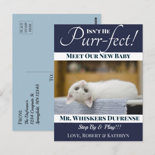 "Spint-fect"Nieuwe Kat Aankondiging Briefkaart (Voorkant / Achterkant)