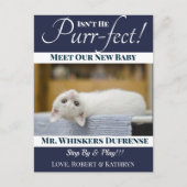 "Spint-fect"Nieuwe Kat Aankondiging Briefkaart (Voorkant)