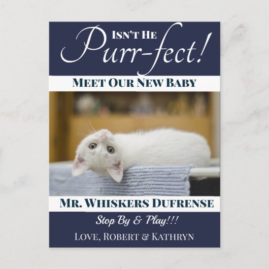 "Spint-fect"Nieuwe Kat Aankondiging Briefkaart (Voorkant)