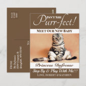 "Spint-fect" Nieuwe kat koninklijk bruin Briefkaart (Voorkant / Achterkant)