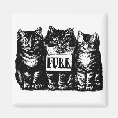 Spint Kittens Magneet (Voorkant)