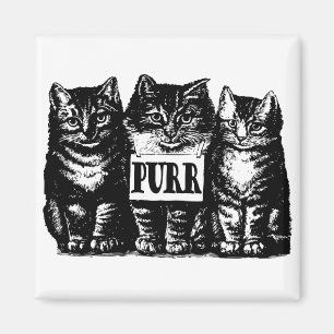 Spint Kittens Magneet