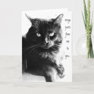 SPINT VAN MIJ NAAR JOU, zwarte kattenbriefkaarten Kaart