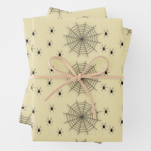 Spinweb en spinnen aan de muur inpakpapier vel (In situ)