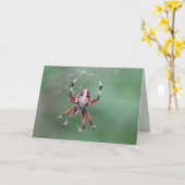 SpinWenskaart Kaart (Gele Bloem)