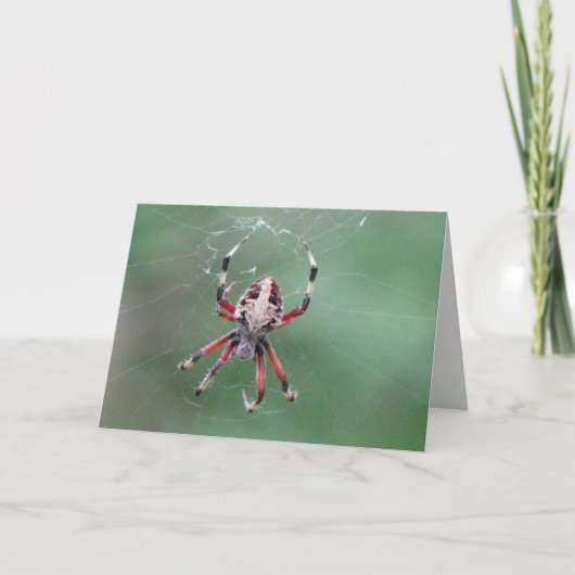 SpinWenskaart Kaart (Voorkant)