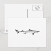 Spiny Dogfish (lijnkunst) Briefkaart (Voorkant / Achterkant)