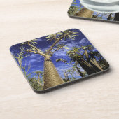 Spiny Forest, samengesteld uit pachypodiumbomen Bier Onderzetter (Linkerzijde)