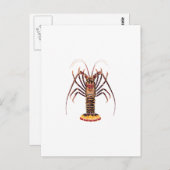Spiny Lobster (Aziatische Stille Oceaan) Briefkaart (Voorkant / Achterkant)