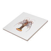 Spiny Lobster (Aziatische Stille Oceaan) Tegeltje (Zijkant)
