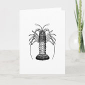 Spiny Lobster (California) Kaart (Voorkant)