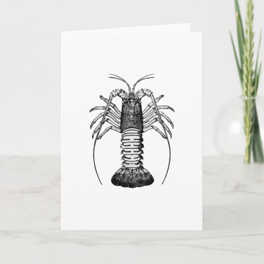 Spiny Lobster (California) Kaart (Voorkant)