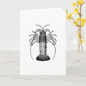 Spiny Lobster (California) Kaart (Gele Bloem)