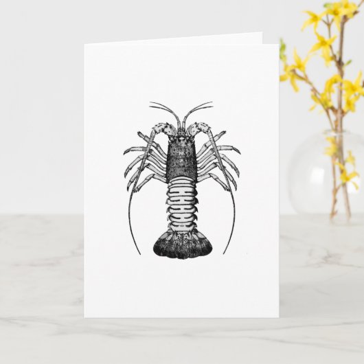 Spiny Lobster (California) Kaart (Gele Bloem)