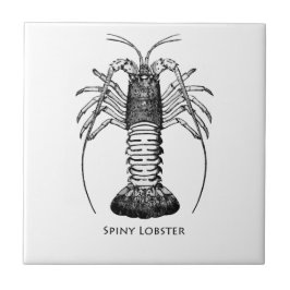 Spiny Lobster (Californië) Tegeltje