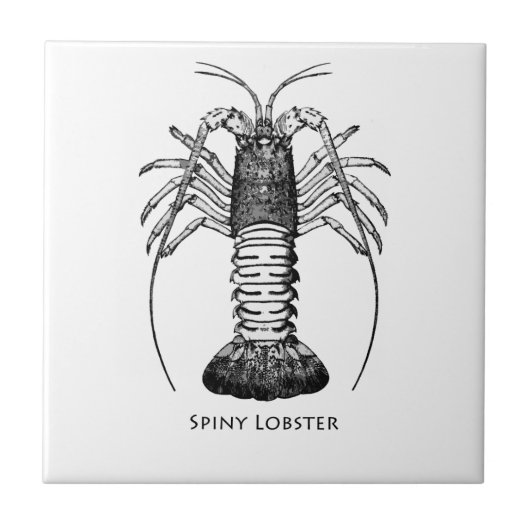 Spiny Lobster (Californië) Tegeltje (Voorkant)