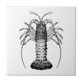 Spiny Lobster (Californië) Tegeltje