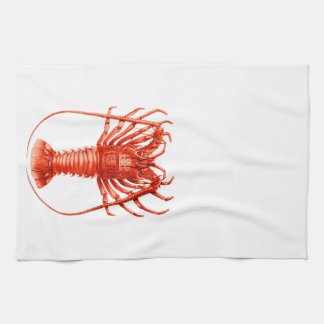 Spiny Lobster Kitchen of Tea Towel Theedoek