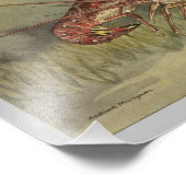 Spiny Lobster  Print Foto Afdruk (Hoek)