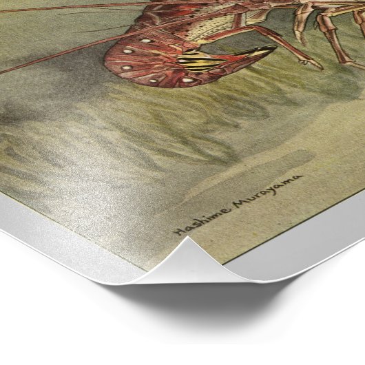 Spiny Lobster  Print Foto Afdruk (Hoek)