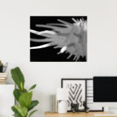 Spiny Seashell BW-foto - Grote afdrukken Poster (Thuiskantoor)