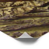 Spiny-Tailed Lizard Cordylus Tropidosternum Poster (Hoek)