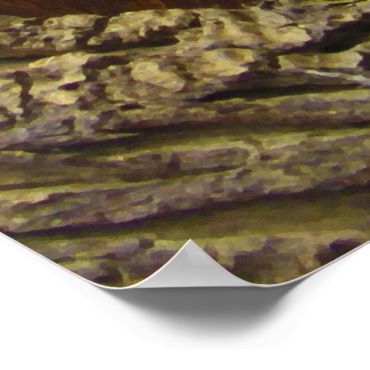 Spiny-Tailed Lizard Cordylus Tropidosternum Poster (Hoek)