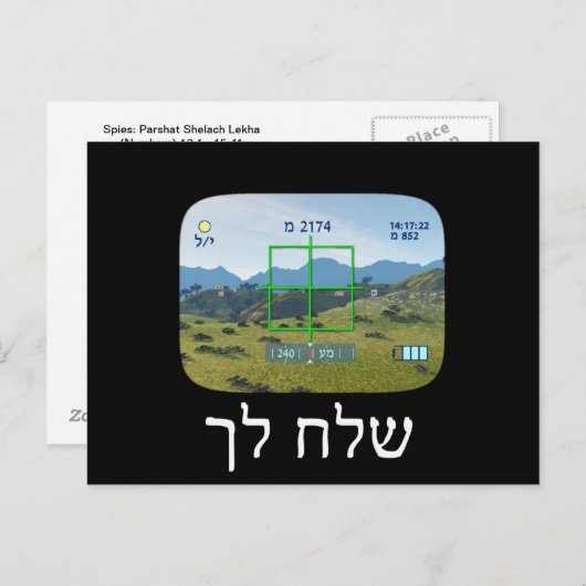 spionnen briefkaart (Voorkant / Achterkant)