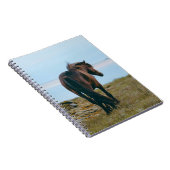 Spiraal Foto Notitieboek - Schilderachtig Paard (Rechterzijde)