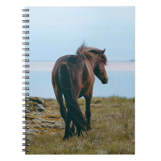 Spiraal Foto Notitieboek - Schilderachtig Paard (Voorkant)