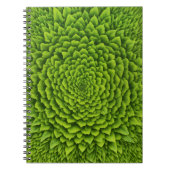 Spiraal Fotoboek Notitieboek (Voorkant)