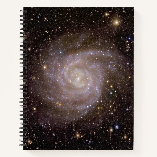Spiraal Galaxy IC 342 Notitieboek (Voorkant)