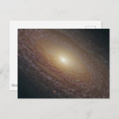 Spiraal Galaxy NGC 2841 Briefkaart (Voorkant / Achterkant)