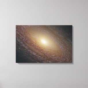 Spiraal Galaxy NGC 2841 Canvas Afdruk