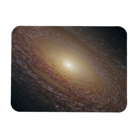 Spiraal Galaxy NGC 2841 Magneet (Horizontaal)