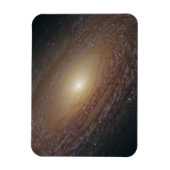 Spiraal Galaxy NGC 2841 Magneet (Verticaal)