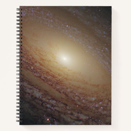 Spiraal Galaxy NGC 2841 Notitieboek (Voorkant)