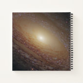 Spiraal Galaxy NGC 2841 Notitieboek (Achterkant)