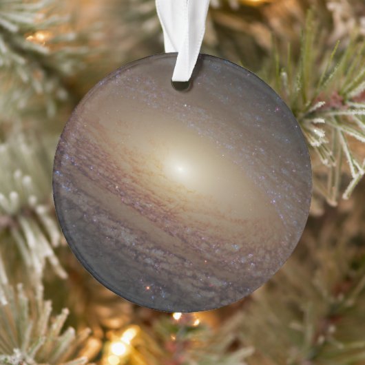 Spiraal Galaxy NGC 2841 Ornament (Boom)