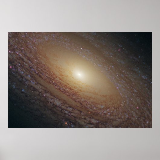 Spiraal Galaxy NGC 2841 Poster (Voorkant)