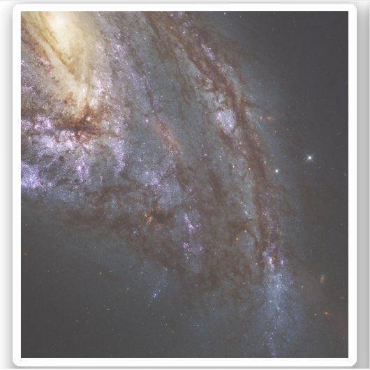 Spiraal Galaxy NGC 3627. Sticker (Voorkant)