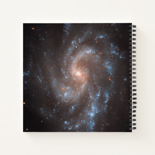 Spiraal Galaxy NGC 5584 Notitieboek (Achterkant)