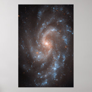 Spiraal Galaxy NGC 5584 Poster