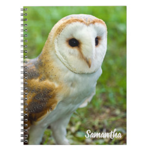Spiraal notebook Kerkuil Notitieboek