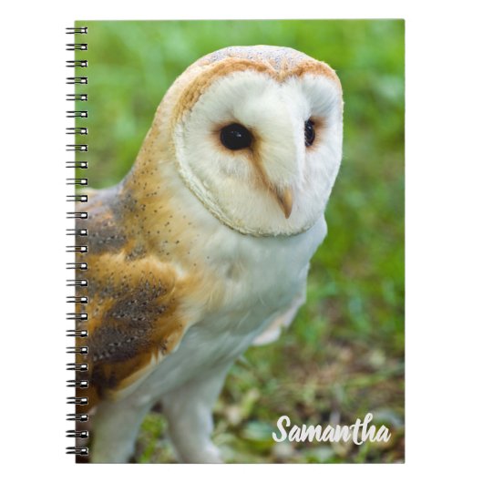 Spiraal notebook Kerkuil Notitieboek (Voorkant)